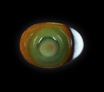 Салатник овальный «Corone Verde» 180х130 мм