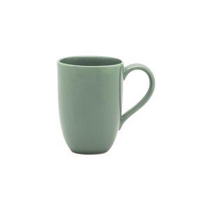 kruzhka-flat-shape-samambaia-350ml-oxford-136227-ao-07-0563_eewk2jlyibdzws.jpg