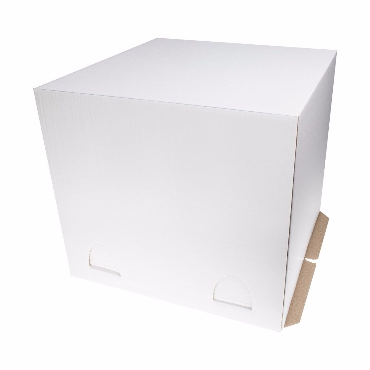 korob-kartonnyi-pasticciere-belyi-500kh-500-kh640-mm-10-sht-kor_9qfy033tk87gqyqb.jpg