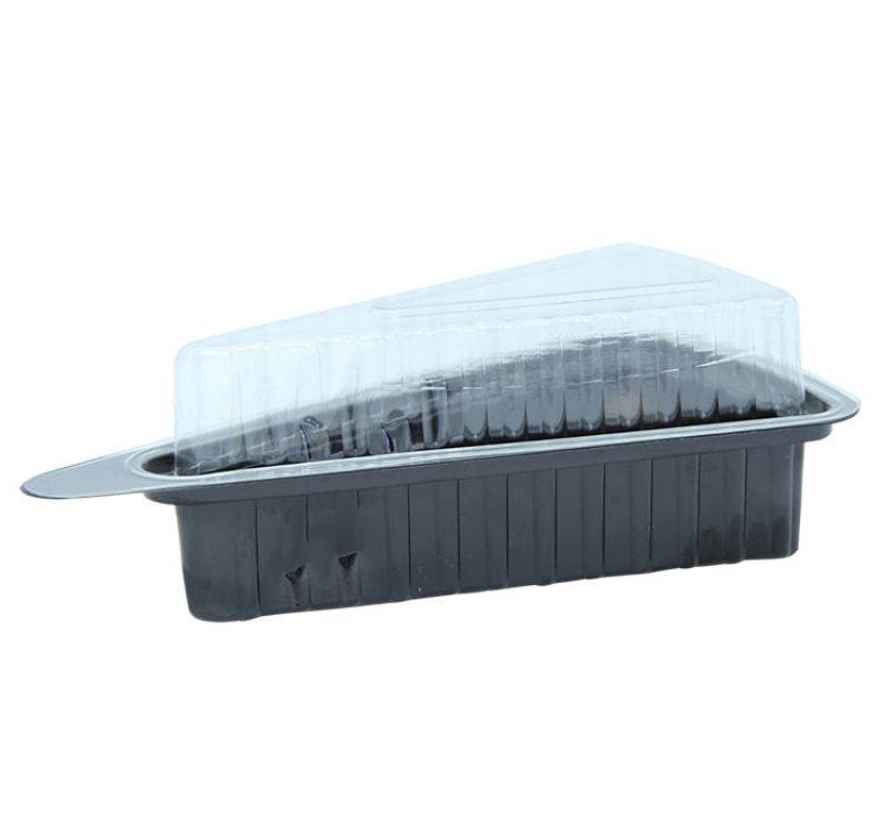konteiner-pod-kusok-torta-177-7-kh105-9-kh63-7-mm-prozrachnyi-kryshka-800-sht_9qfy0h8tkrulo21t.jpg