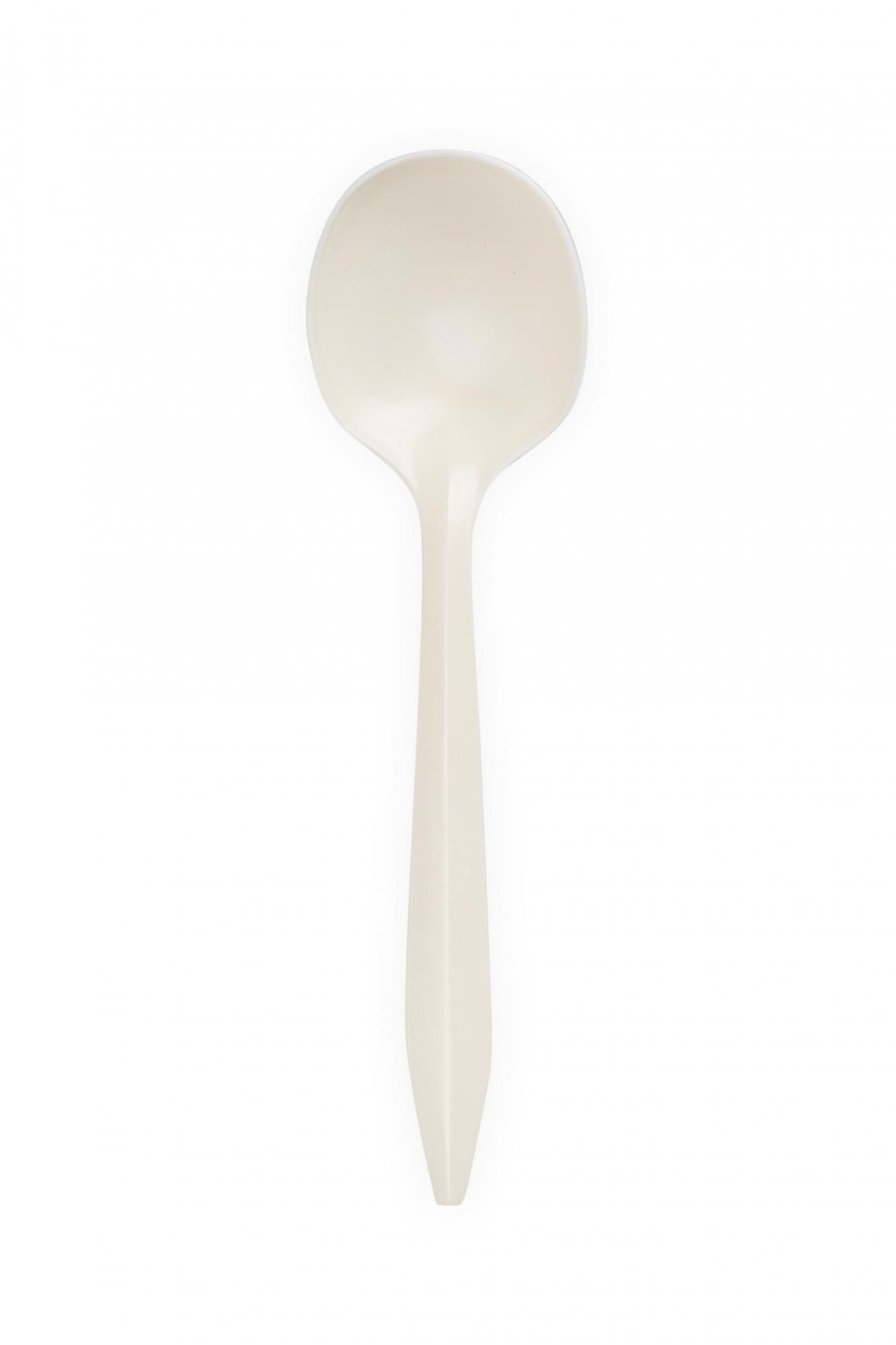 lozhki-odnorazovye-eco-spoon-white-140-100-1000_9qfy06grkmn7sso7.jpg