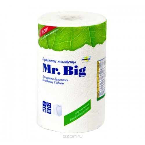 bumazhnye-polotenca-2sl-32-5-m-cellyuloza-cvet-belyi-myagkii-znak-mister-big-pach_9qfy0o4tkj8ghgul.jpg