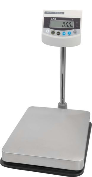 vesy-elektronnye-tovarnye-cas-bw-500-rb_9qfy0nq8l1qegyb4.jpg