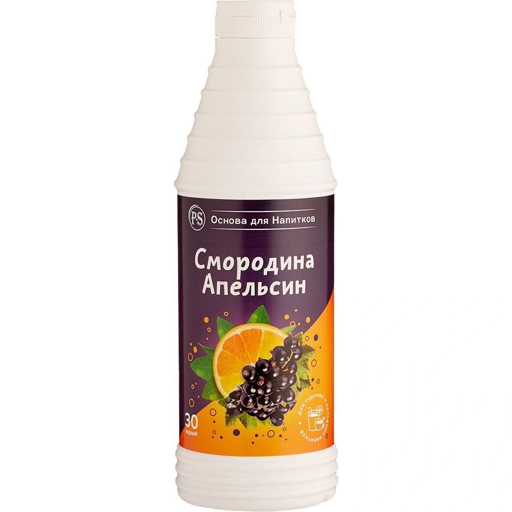 osnova-dlya-napitkov-proffsyrup-smorodina-apelsin-1-kg_9qfy0cegkoviea5l.jpg