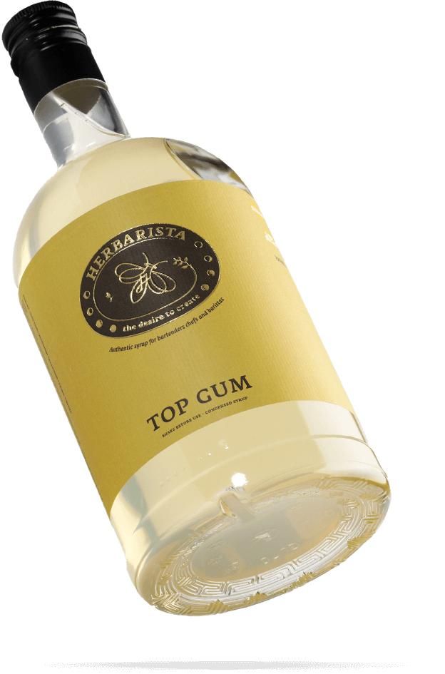 sirop-herbarista-top-gum-klassicheskii-sakharnyi-sirop_9qfy0r0l5tpqxly.jpg