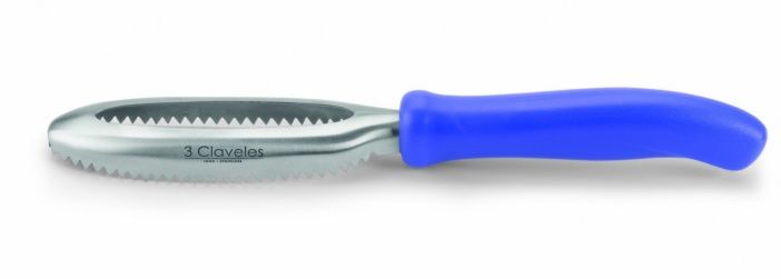 rybochistka-27-sm-nerzh-plast-ruchka-sinii-icel_9qfy02ozjna4gb9x.jpg