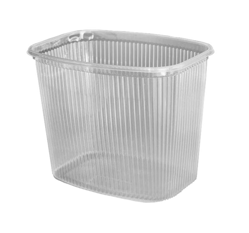 konteiner-rr-sp-1000ml-139kh-102-kh125mm-pryamougolnyi-prozrachnyi-n-50-sht_9qfy0h8tkrulnvbm.jpg