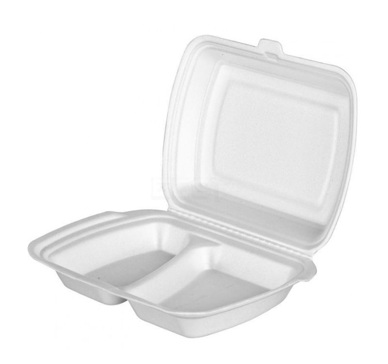 lanch-boks-vps-2-deleniya-250kh-206-kh65mm-lb-2-100-sht-up_9qfy0h8tkrulo4pn.jpg