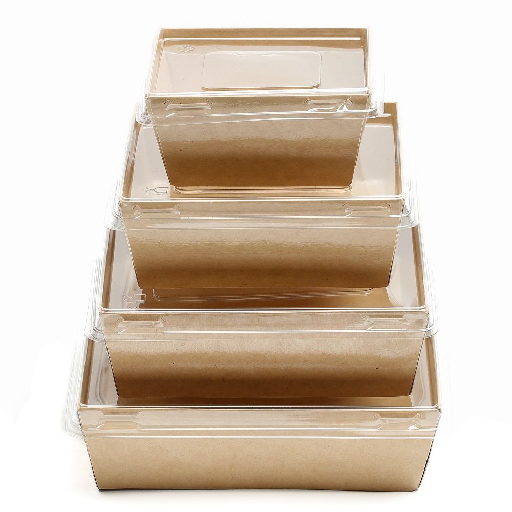 kryshka-dlya-upakovki-eco-smartpack-550-ploskaya-142-142-13-5-450-sht-kor_9qfy0hzsl3n2dahx.jpg