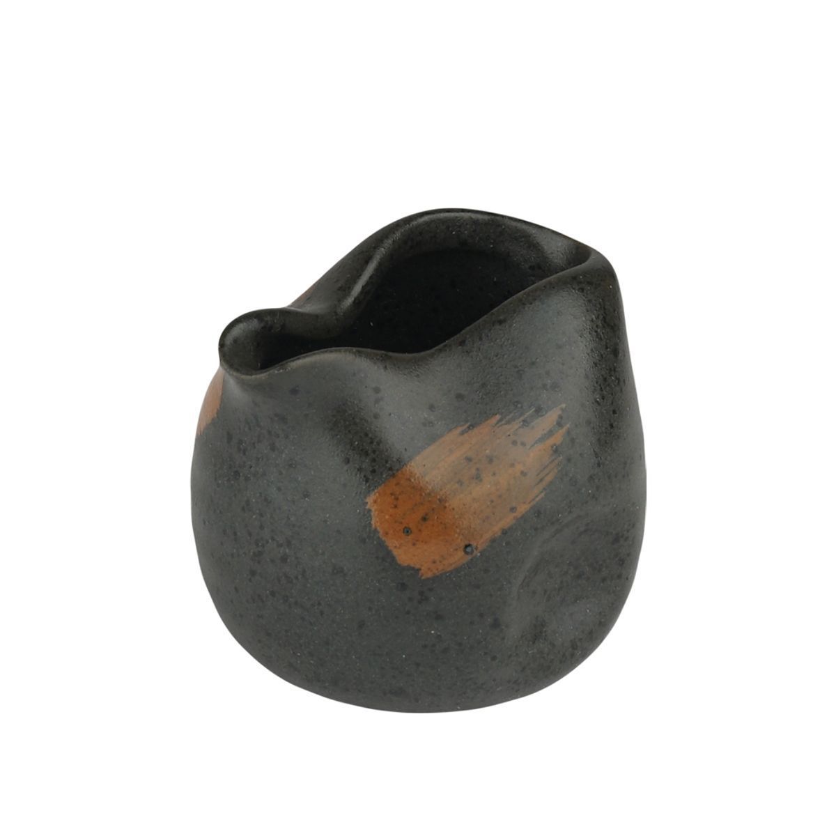 sousnik-molochnik-50-ml-dark-panasia-p-l-proff-cuisine-81221953_eewk3ym0krbq8g.jpg