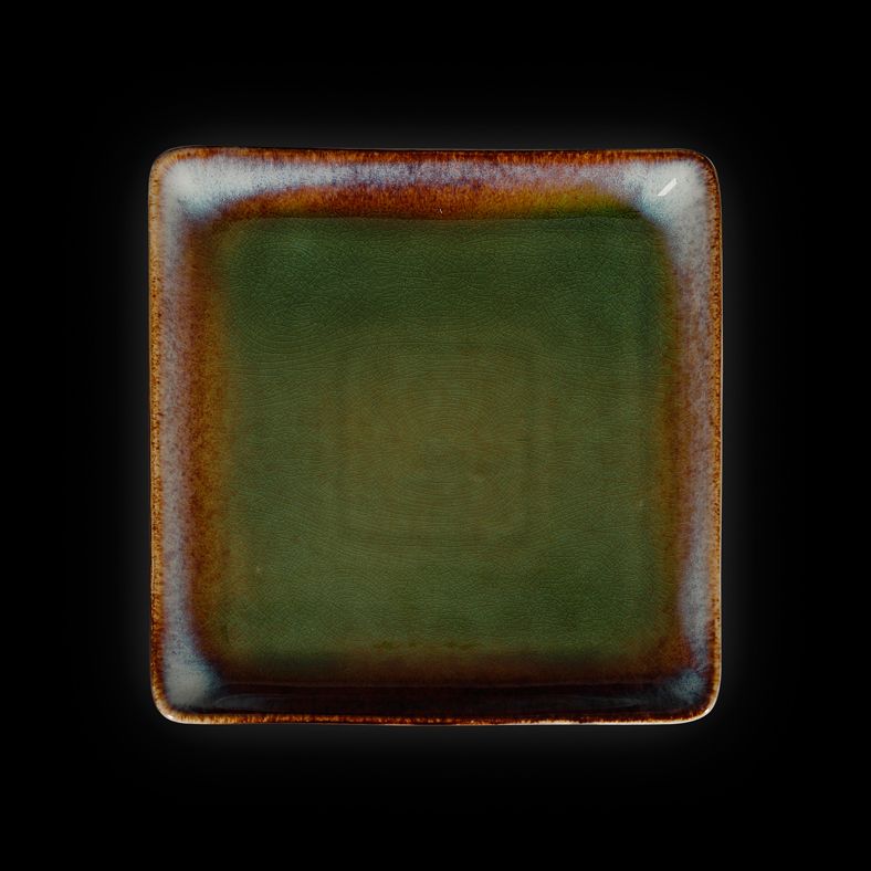 tarelka-kvadratnaya-corone-verde-fk0710_9qfy03h9jnkae1w9.jpg