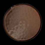 Тарелка мелкая 11" 290мм, красный "Corone Carmen" [HS012571]