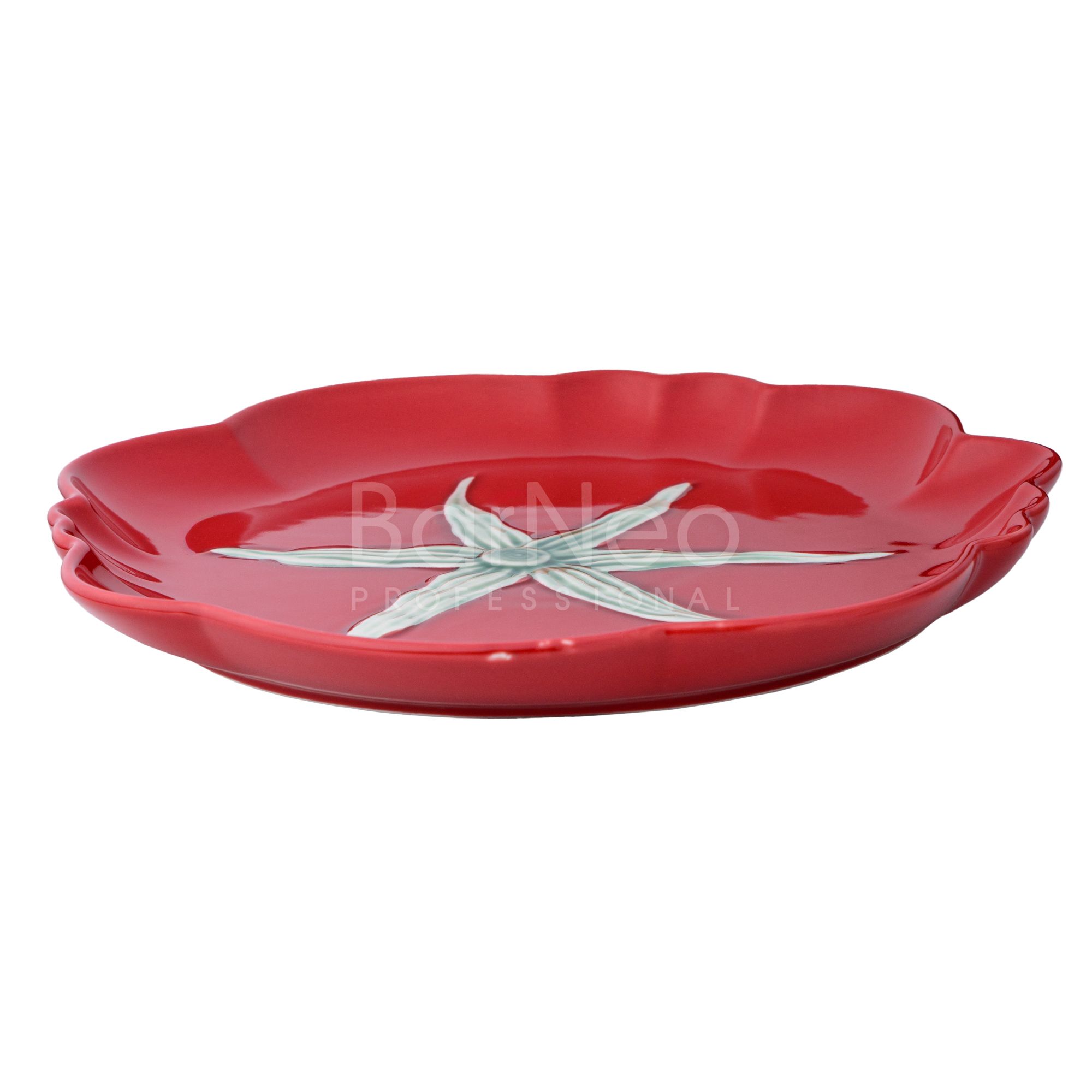 tarelka-d-28-sm-h-2-8-sm-casa-di-fortuna-tomato_eewk213lw6fg8fr.jpg