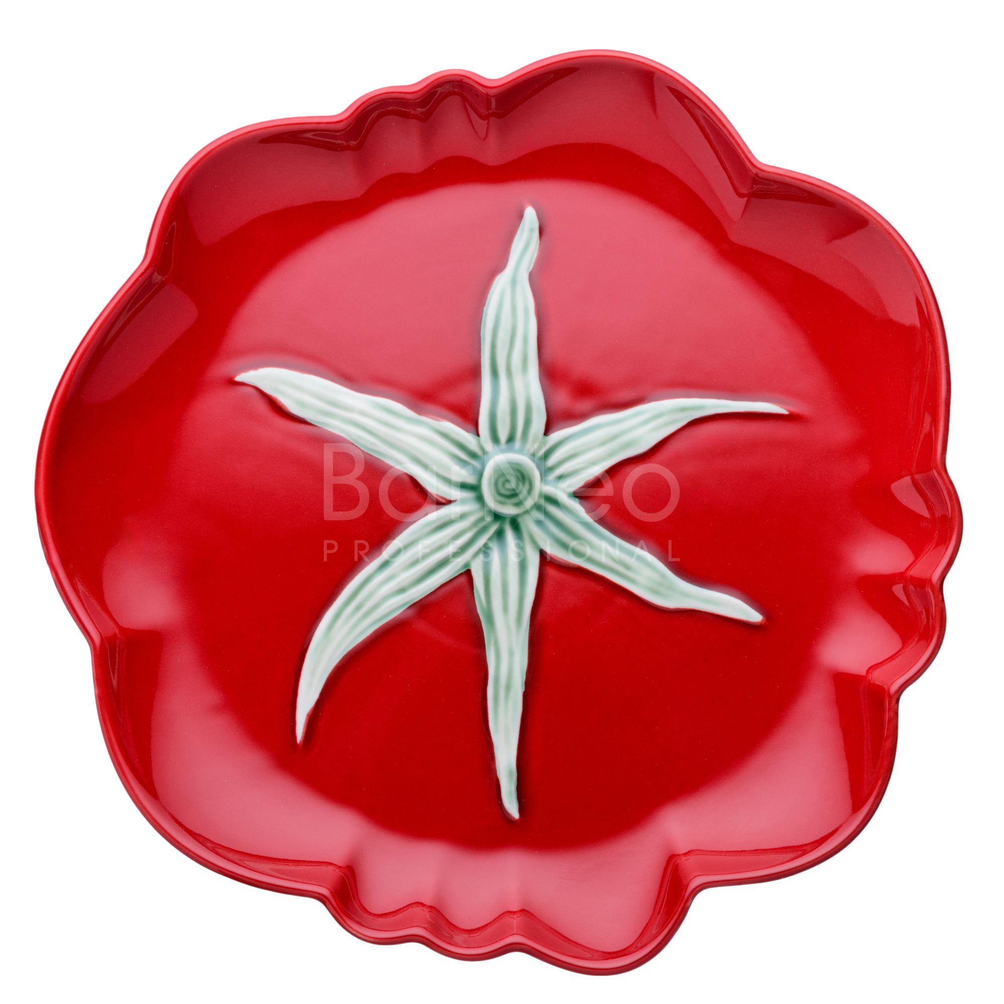 tarelka-d-28-sm-h-2-8-sm-casa-di-fortuna-tomato_eewk2wlw6fg3jo.jpg