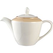 Чайник «Чино» STEELITE 3150377