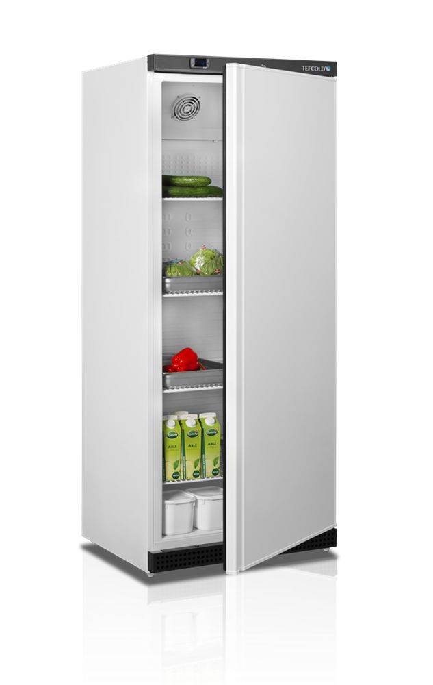 shkaf-kholodilnyi-s-glukhoi-dveryu-tefcold-ur600-gn-2-1_eewk313lzwpzrgp.jpg