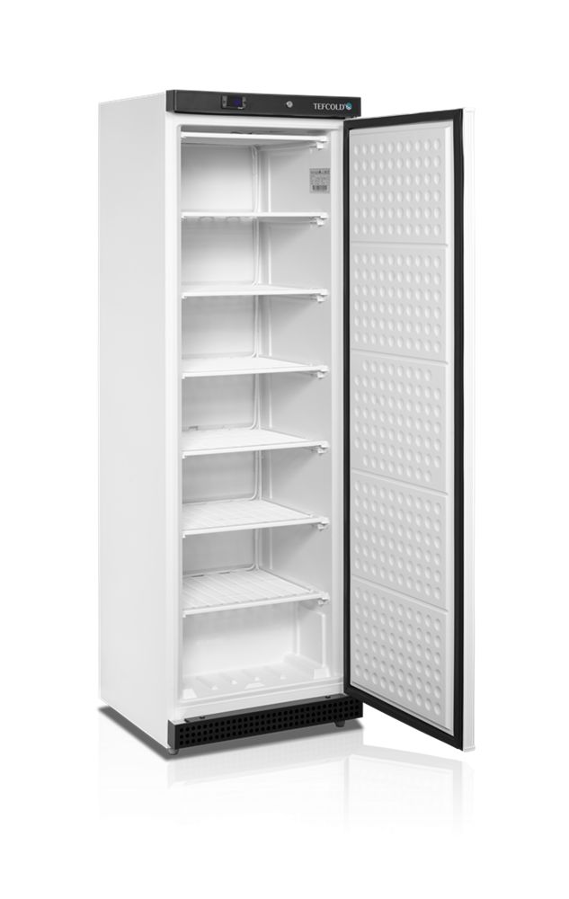 shkaf-kholodilnyi-tefcold-uf400_eewk213lxoisi79.jpg