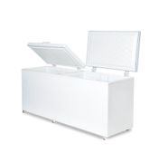 Ларь морозильный FROSTOR F800SD