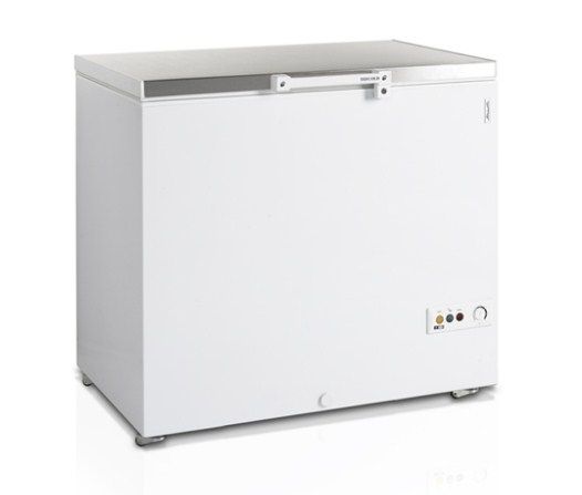 lar-morozilnyi-tefcold-fr-305-s_9qfy0i3ujp14hj46.jpg
